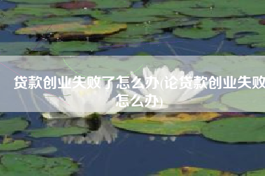贷款创业失败了怎么办(论贷款创业失败怎么办)