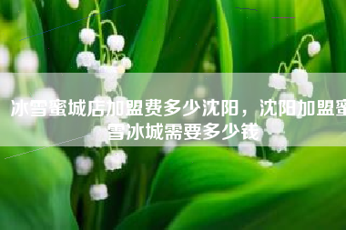 冰雪蜜城店加盟费多少沈阳，沈阳加盟蜜雪冰城需要多少钱