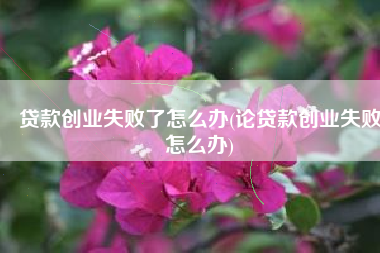 贷款创业失败了怎么办(论贷款创业失败怎么办)