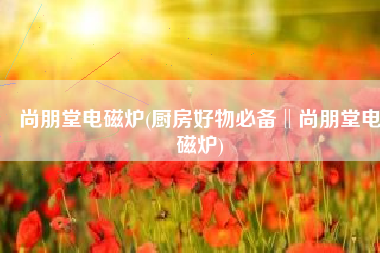 尚朋堂电磁炉(厨房好物必备‖尚朋堂电磁炉)