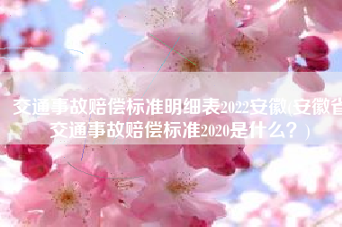 交通事故赔偿标准明细表2022安徽(安徽省交通事故赔偿标准2020是什么？)