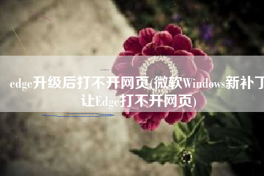 edge升级后打不开网页(微软Windows新补丁让Edge打不开网页)