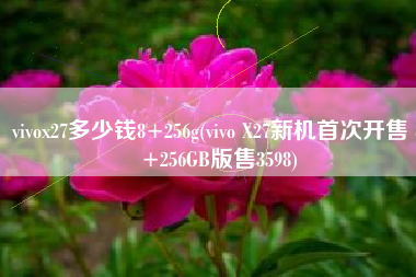 vivox27多少钱8+256g(vivo X27新机首次开售 8+256GB版售3598)