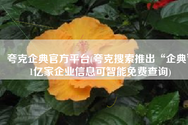夸克企典官方平台(夸克搜索推出“企典” 1亿家企业信息可智能免费查询)