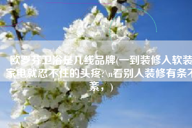 欧罗芬卫浴是几线品牌(一到装修入软装家电就忍不住的头疼?\n看别人装修有条不紊，)