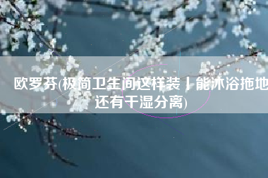 欧罗芬(极简卫生间这样装丨能沐浴拖地还有干湿分离)