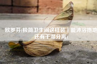 欧罗芬(极简卫生间这样装丨能沐浴拖地还有干湿分离)