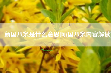 新国八条是什么意思啊(国八条内容解读)