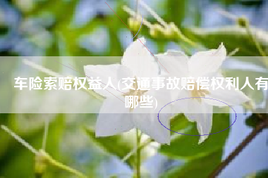 车险索赔权益人(交通事故赔偿权利人有哪些)
