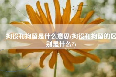 拘役和拘留是什么意思(拘役和拘留的区别是什么?)