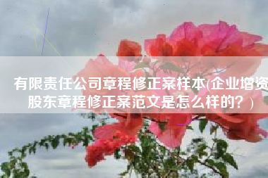有限责任公司章程修正案样本(企业增资股东章程修正案范文是怎么样的？)