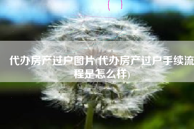 代办房产过户图片(代办房产过户手续流程是怎么样)