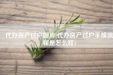 代办房产过户图片(代办房产过户手续流程是怎么样)
