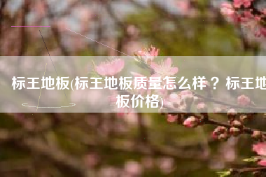 标王地板(标王地板质量怎么样 ？标王地板价格)