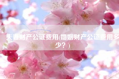 夫妻财产公证费用(婚姻财产公证费用多少？)
