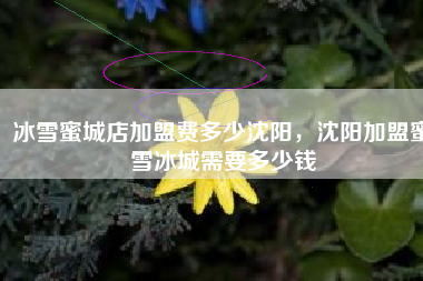 冰雪蜜城店加盟费多少沈阳，沈阳加盟蜜雪冰城需要多少钱