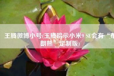 王腾微博小号(王腾暗示小米9 SE会有“布朗熊”定制版)