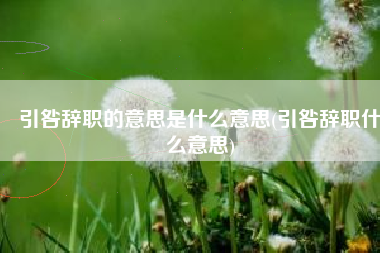 引咎辞职的意思是什么意思(引咎辞职什么意思)