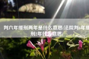判六年缓刑两年是什么意思(法院判6年缓刑2年什么意思)
