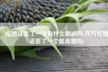 结婚证丢了一个有什么影响吗(双方结婚证丢了一个能离婚吗)