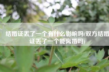 结婚证丢了一个有什么影响吗(双方结婚证丢了一个能离婚吗)