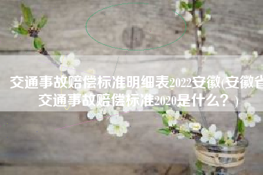 交通事故赔偿标准明细表2022安徽(安徽省交通事故赔偿标准2020是什么？)