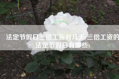 法定节假日三倍工资有几天(三倍工资的法定节假日有哪些)