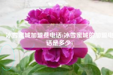 冰雪蜜城加盟费电话(冰雪蜜城的加盟电话是多少)
