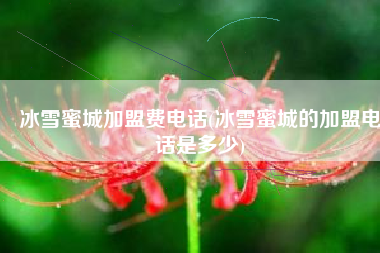 冰雪蜜城加盟费电话(冰雪蜜城的加盟电话是多少)