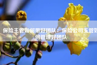 保险主管如何带好团队：保险公司主管如何管理好团队