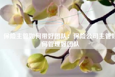 保险主管如何带好团队：保险公司主管如何管理好团队