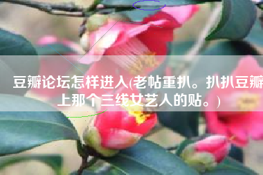 豆瓣论坛怎样进入(老帖重扒。扒扒豆瓣上那个三线女艺人的贴。)