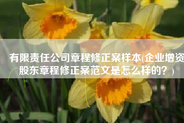 有限责任公司章程修正案样本(企业增资股东章程修正案范文是怎么样的？)