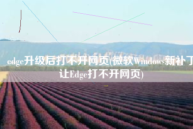 edge升级后打不开网页(微软Windows新补丁让Edge打不开网页)