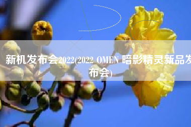 新机发布会2022(2022 OMEN 暗影精灵新品发布会)