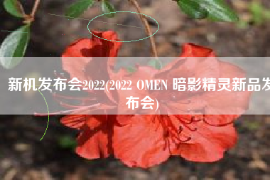 新机发布会2022(2022 OMEN 暗影精灵新品发布会)