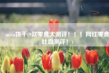 mico饼干(9款零食大测评！！！网红零食吐血测评！)
