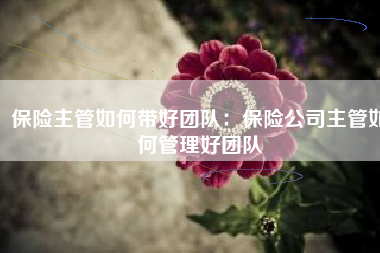 保险主管如何带好团队：保险公司主管如何管理好团队