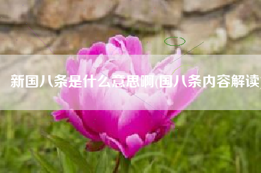 新国八条是什么意思啊(国八条内容解读)