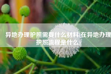 异地办理护照需要什么材料(在异地办理护照流程是什么)