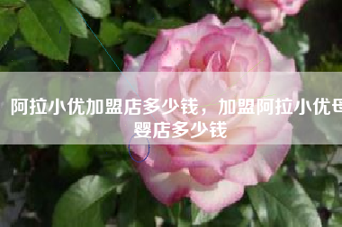阿拉小优加盟店多少钱，加盟阿拉小优母婴店多少钱