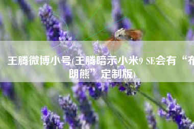 王腾微博小号(王腾暗示小米9 SE会有“布朗熊”定制版)