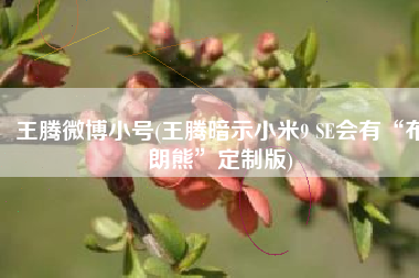 王腾微博小号(王腾暗示小米9 SE会有“布朗熊”定制版)