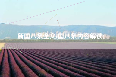 新国八条全文(国八条内容解读)
