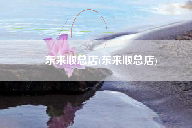 东来顺总店(东来顺总店)
