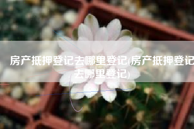 房产抵押登记去哪里登记(房产抵押登记去哪里登记)