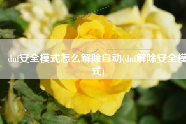 dnf安全模式怎么解除自动(dnf解除安全模式)