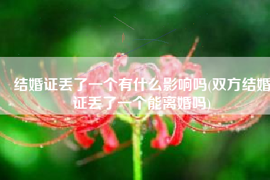 结婚证丢了一个有什么影响吗(双方结婚证丢了一个能离婚吗)
