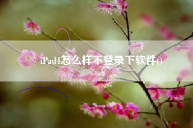 iPad4怎么样不登录下软件()