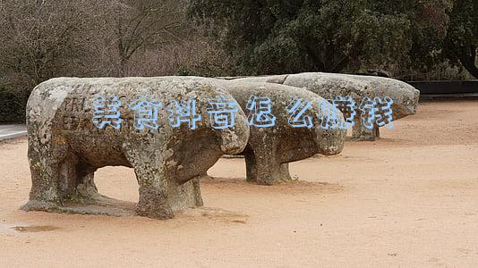 抖音点心怎么赚钱(小糕点也能赚大钱！一招引爆客流)